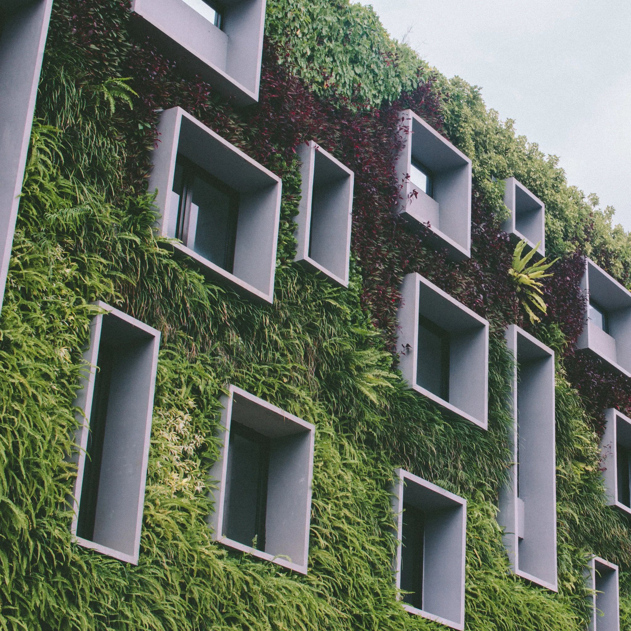 Green wall of an apartment building